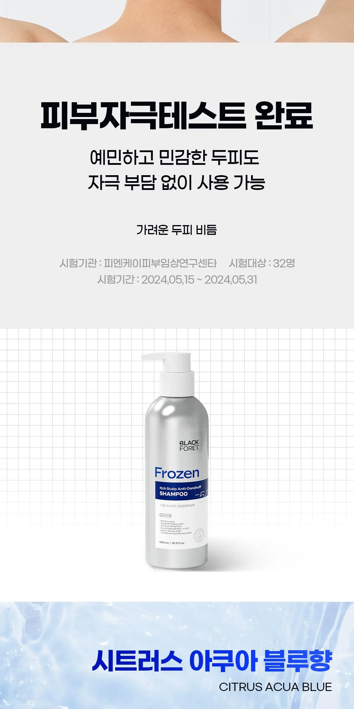 BLACK FORET Frozen Itch Scalp Anti-Dandruff Shampoo 500ml Detail