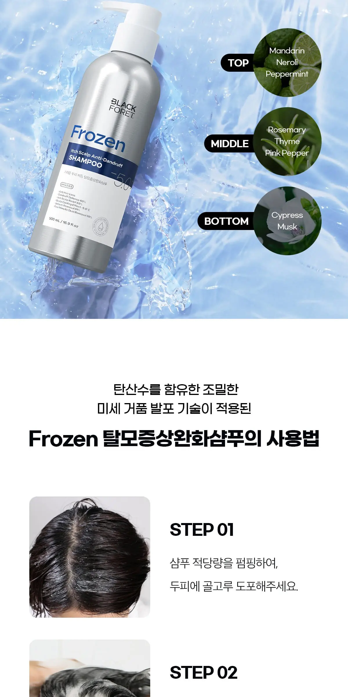 BLACK FORET Frozen Itch Scalp Anti-Dandruff Shampoo 500ml Detail