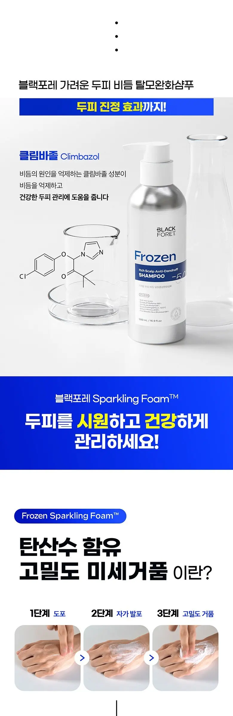 BLACK FORET Frozen Itch Scalp Anti-Dandruff Anti Hair Loss Shampoo Refill 450mL Detail