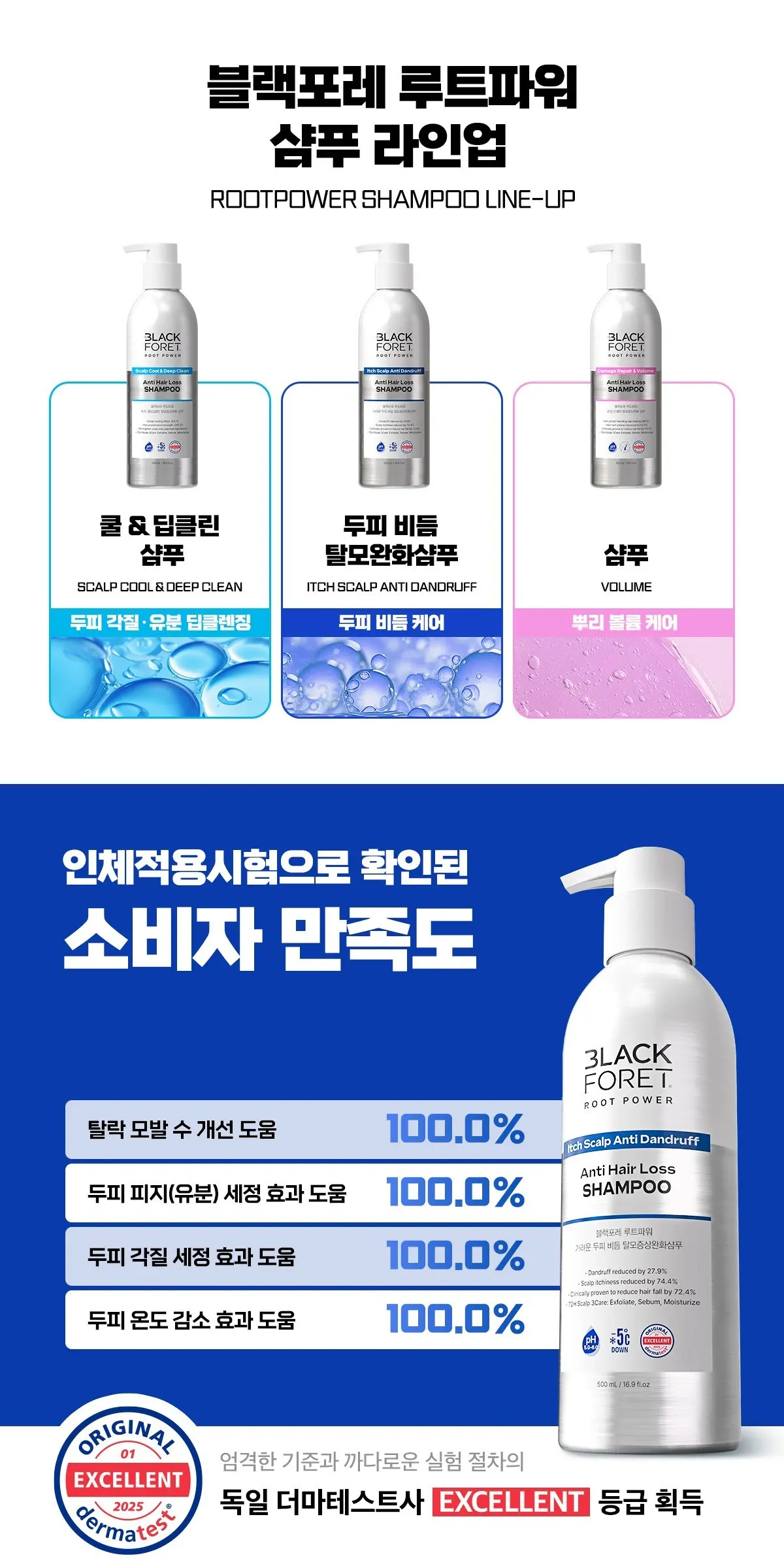 BLACK FORET Root Power Itch Scalp Anti Dandruff Anti Hair Loss Shampoo 500ml Detail