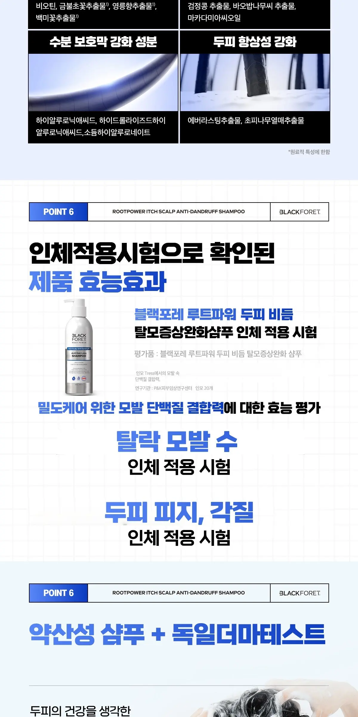 BLACK FORET Root Power Itch Scalp Anti Dandruff Anti Hair Loss Shampoo 500ml Detail