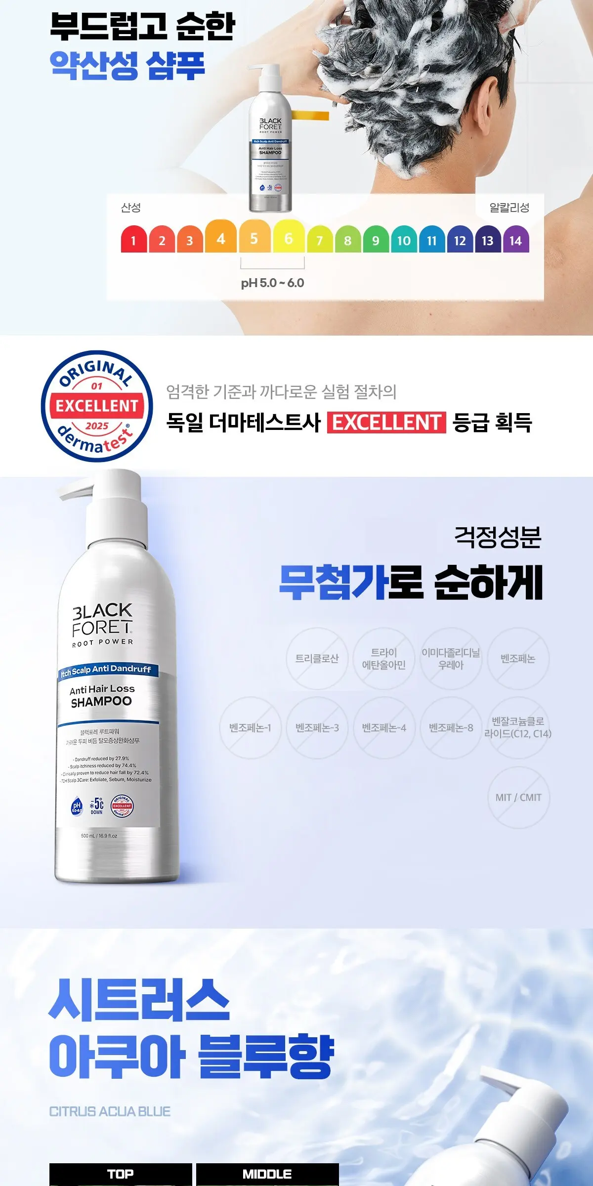 BLACK FORET Root Power Itch Scalp Anti Dandruff Anti Hair Loss Shampoo 500ml Detail