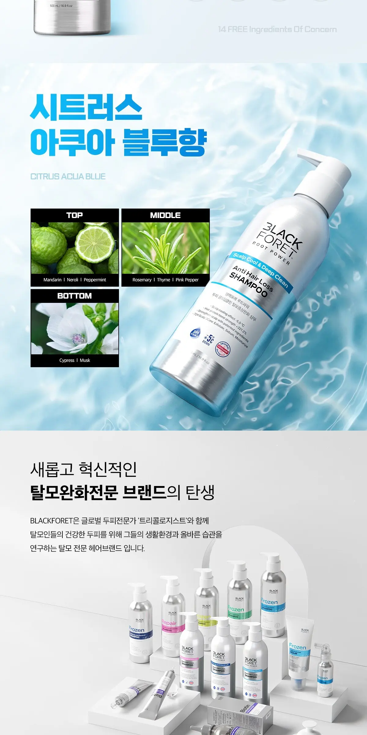 BLACK FORET Root Power Scalp Cool & Deep Clean Anti Hair Loss Shampoo 500ml Detail