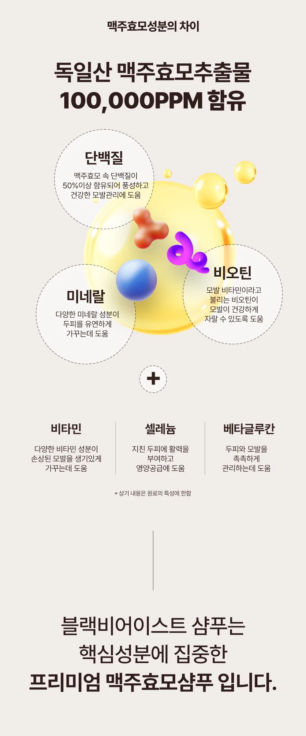 BY.OUR Black Beer Yeast Shampoo Amber Wood Scent 1.017L Detail