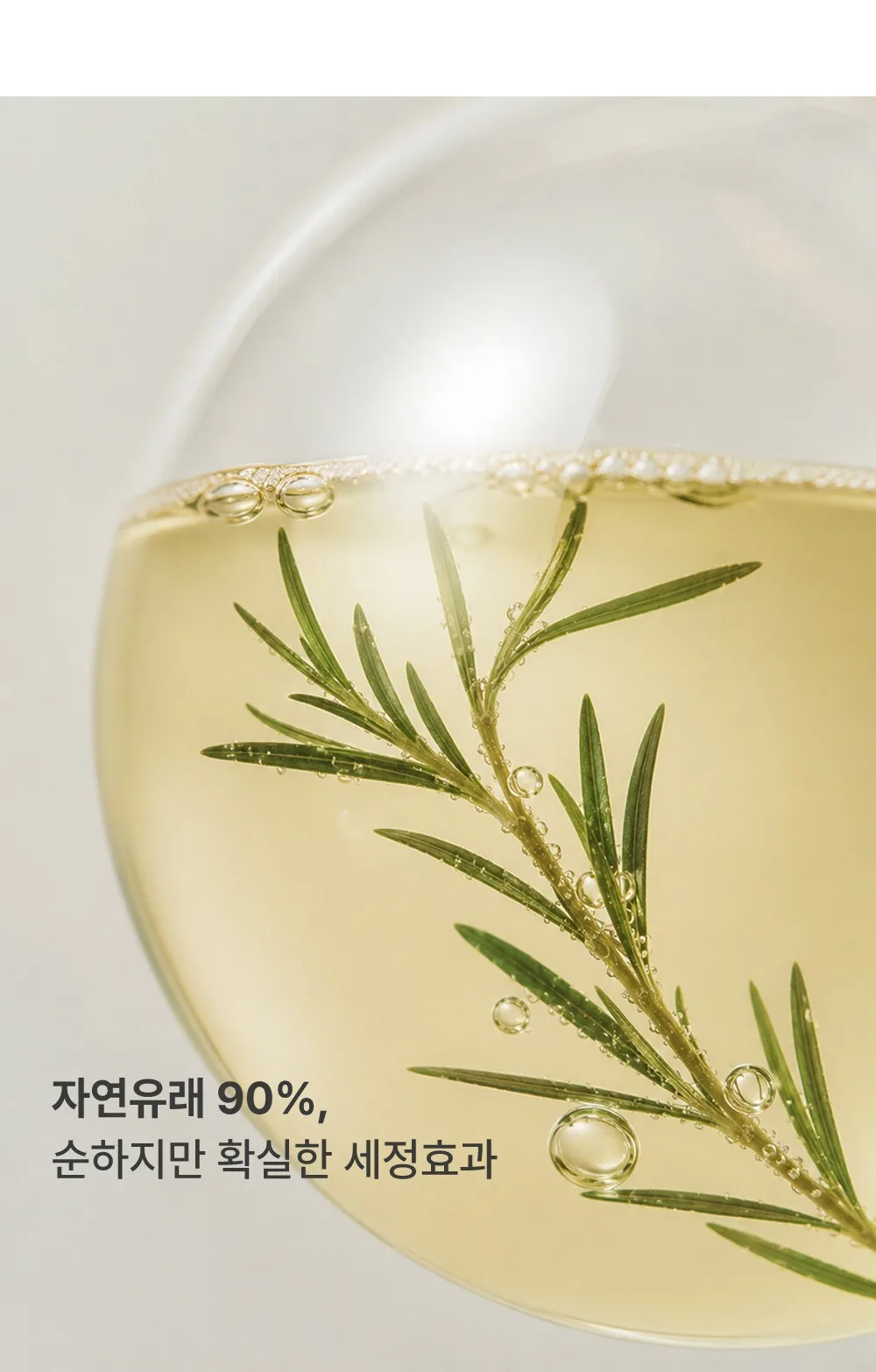 BY.OUR Teatree Fresh Shampoo 1.017L 2 Pack Detail
