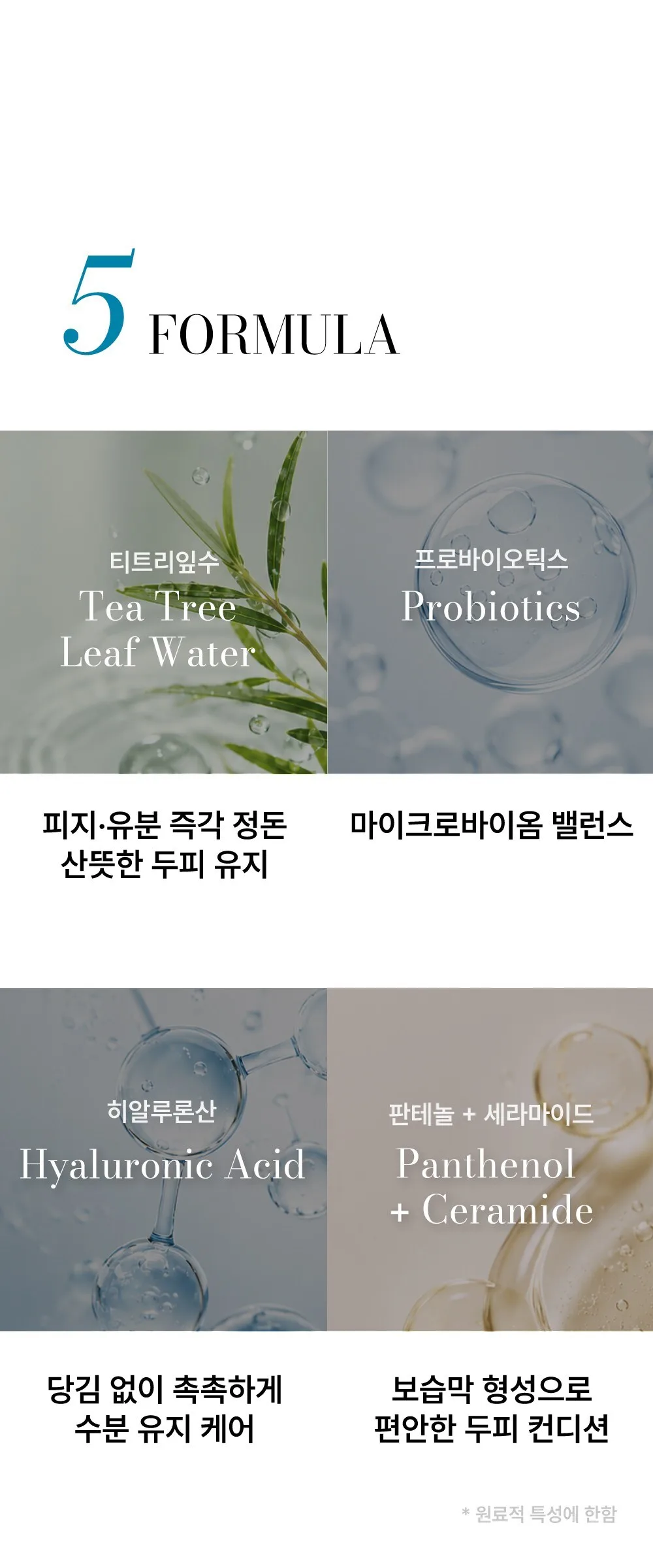 BY.OUR Teatree Fresh Shampoo 1.017L 2 Pack Detail