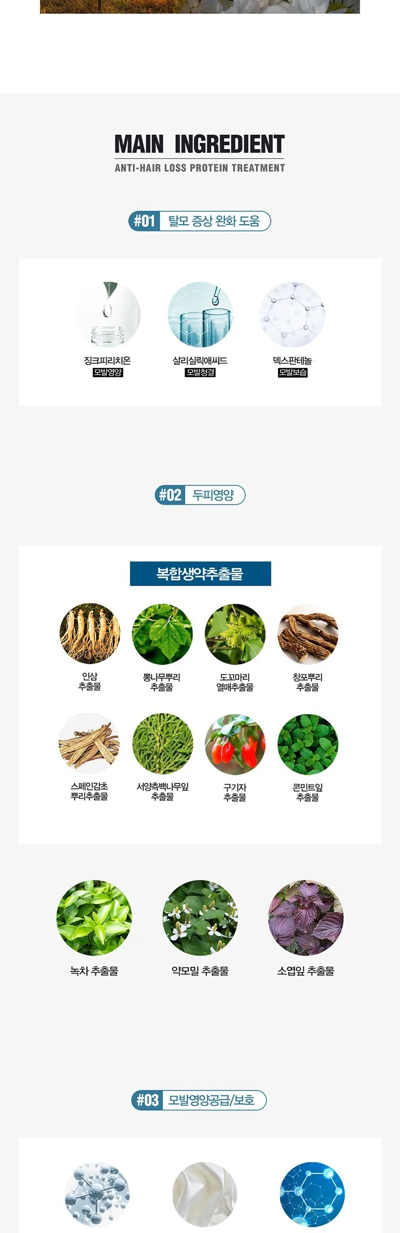 DASHU Daily Anti-Hair Loss Protein Treatment 500ml Detail