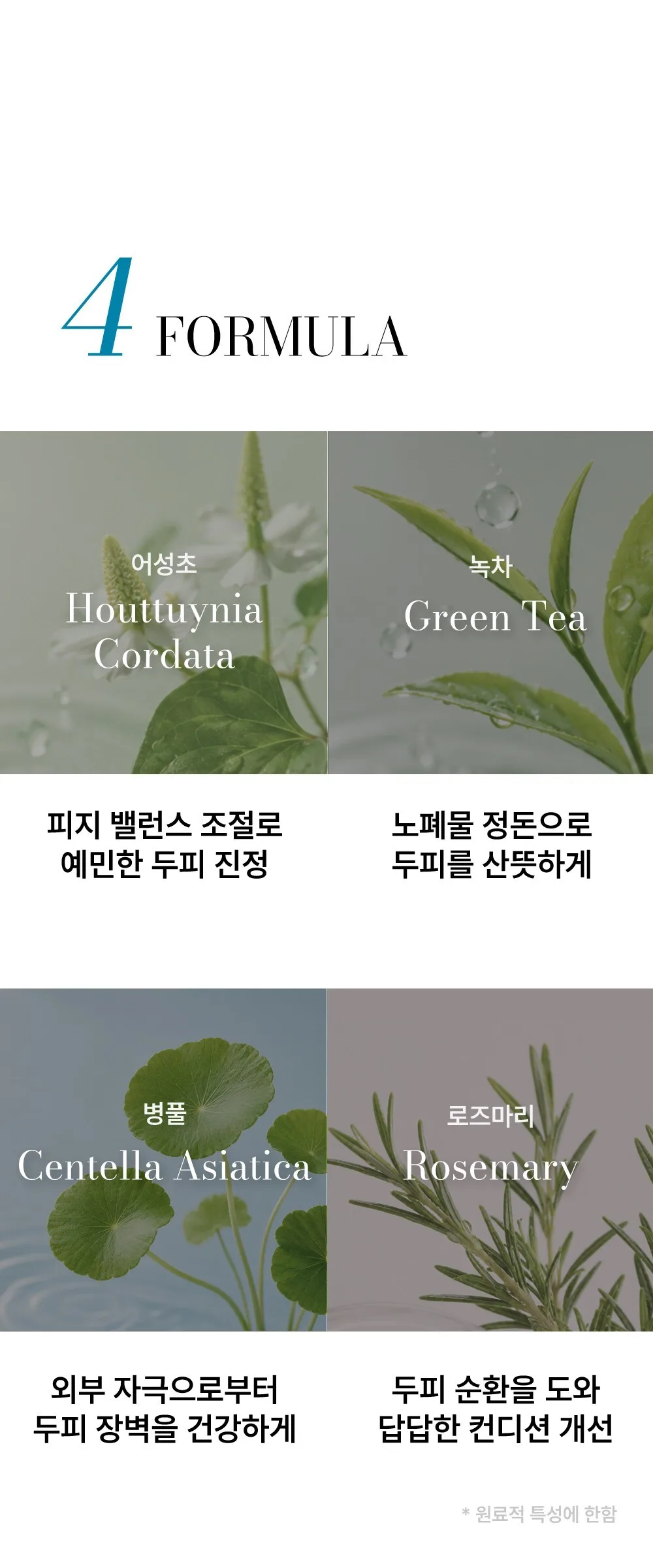 BY_OUR Tea Tree Fresh Teenager Treatment Detail