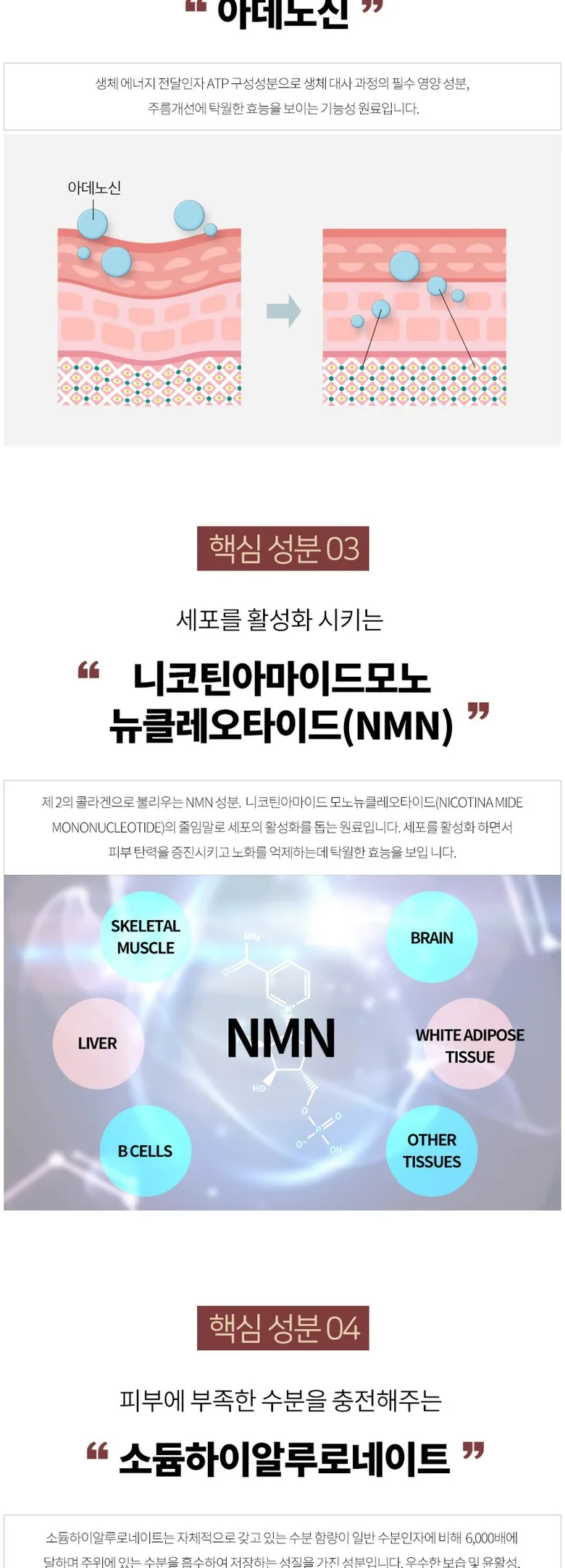 GIK NMN Face Treatment Brightening Skin High Concentrate Elastic Moisturizing Toner Detail