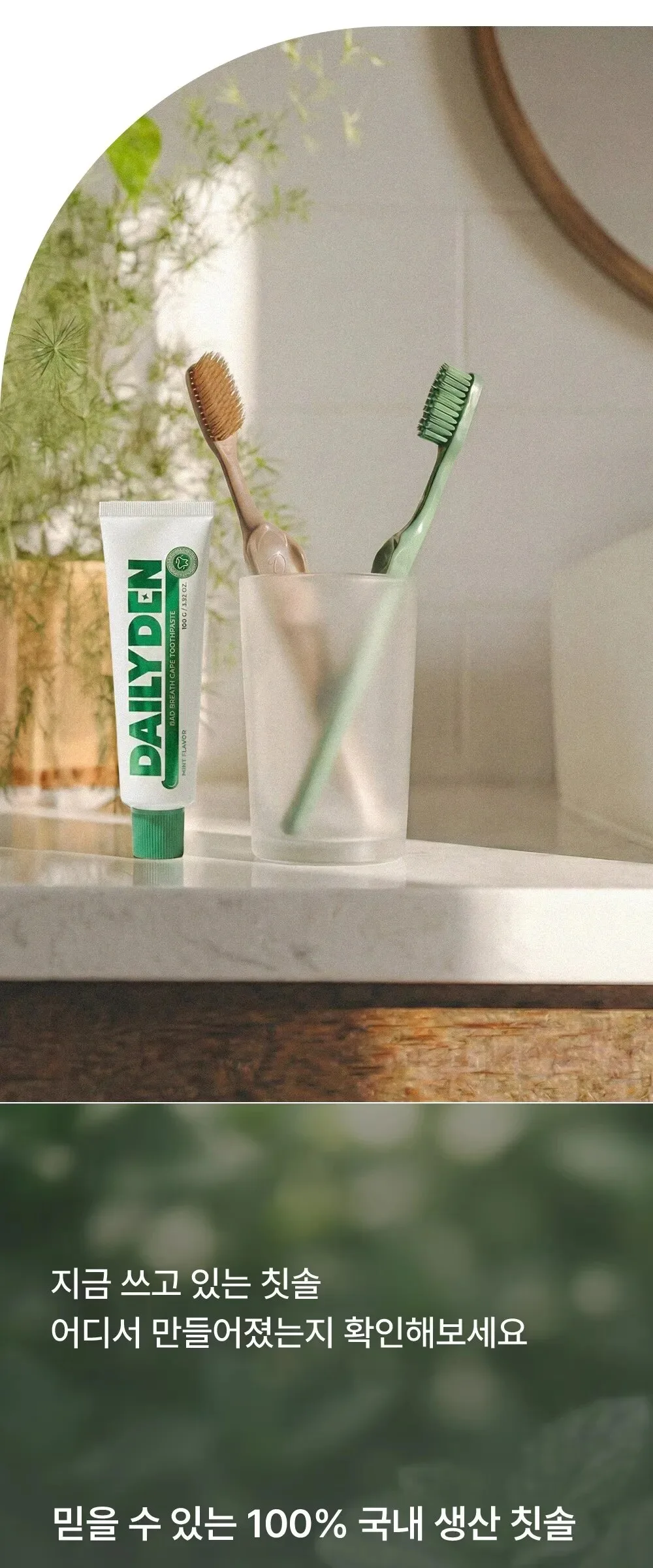 Daily Den Xylitol Wing Toothbrush 7 Pack Detail