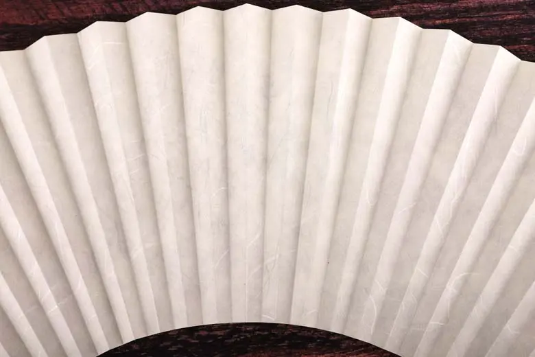 Korean Traditional Jeonju Hapjukseon Bamboo Fan, Plum Blossom Ink Painting Design, 1 Piece Detail