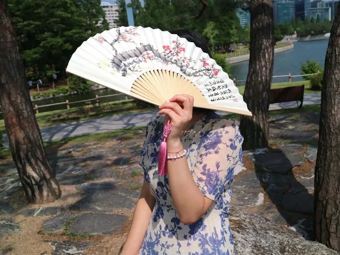 Korean Traditional Jeonju Hapjukseon Bamboo Fan, Plum Blossom Ink Painting Design, 1 Piece Detail