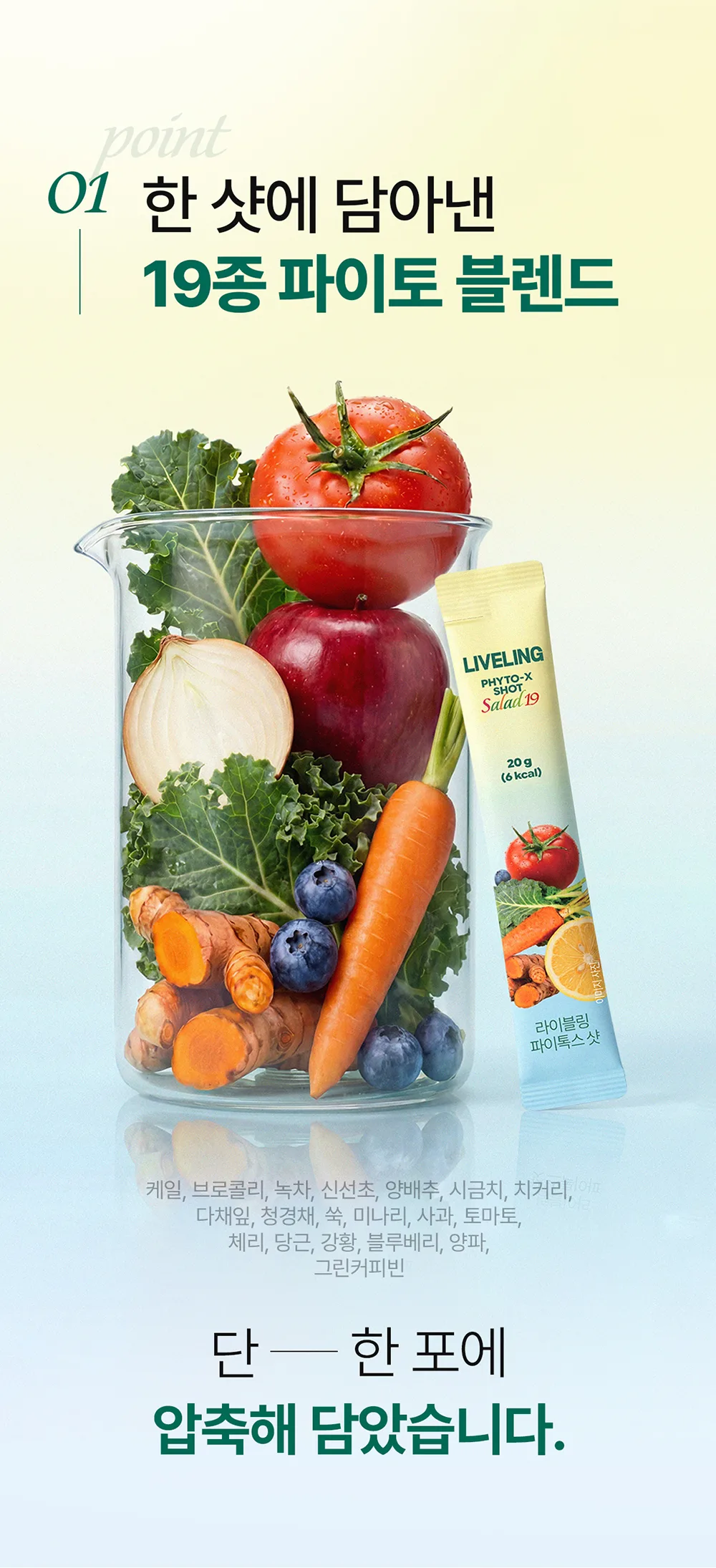 LIVELING PHYTO-X SHOT Salad 19 20g x 14 Packs Detail