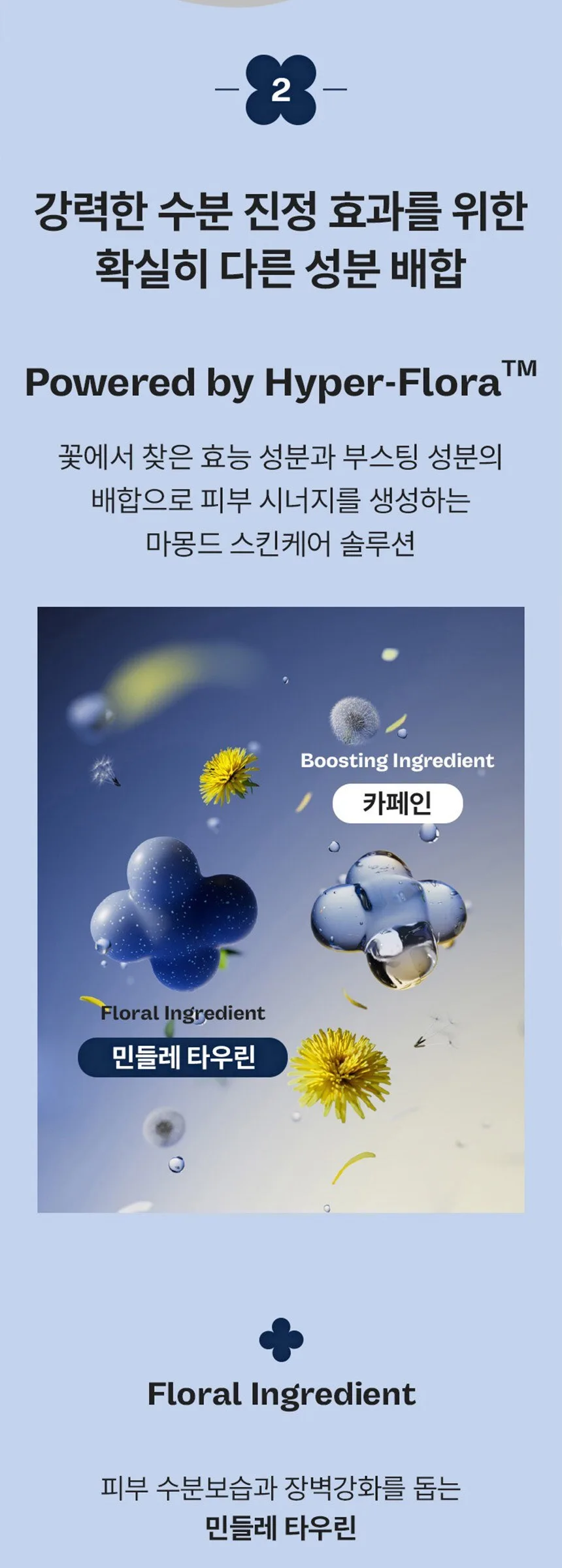 MAMONDE Men Recharge Skincare Set (Toner + Lotion + Mini Toner + Mini Lotion) Gift Box Detail
