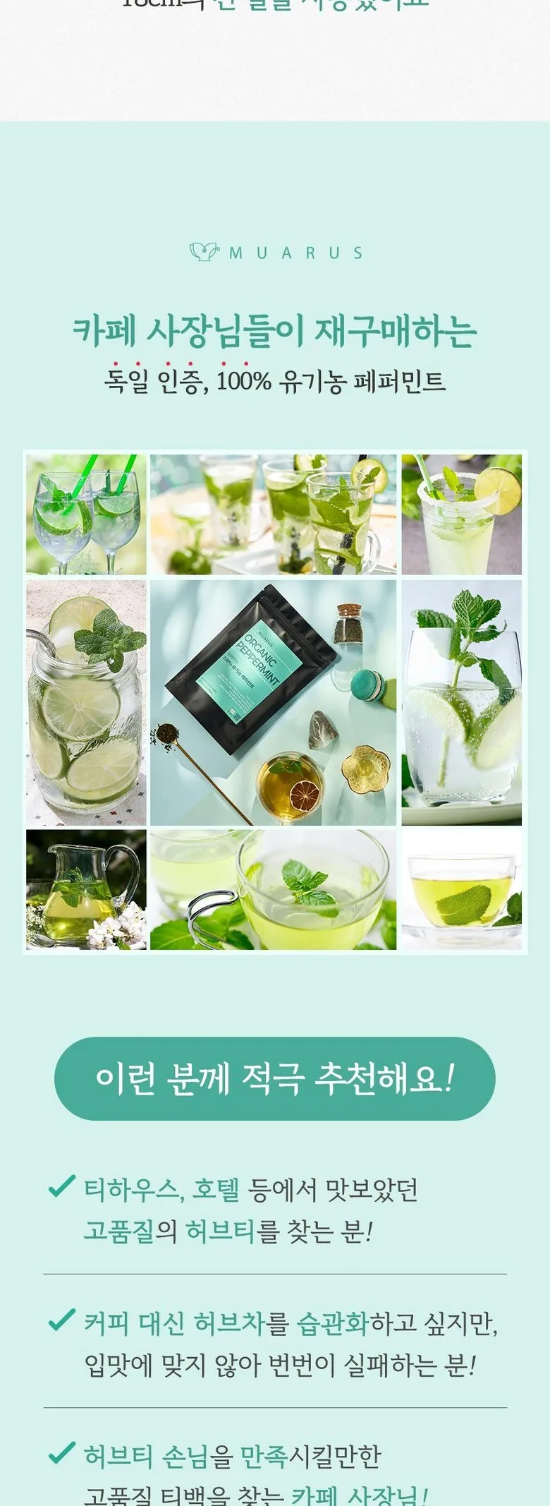 Muarus Organic Peppermint Tea 100% Certified German Organic Peppermint Detail