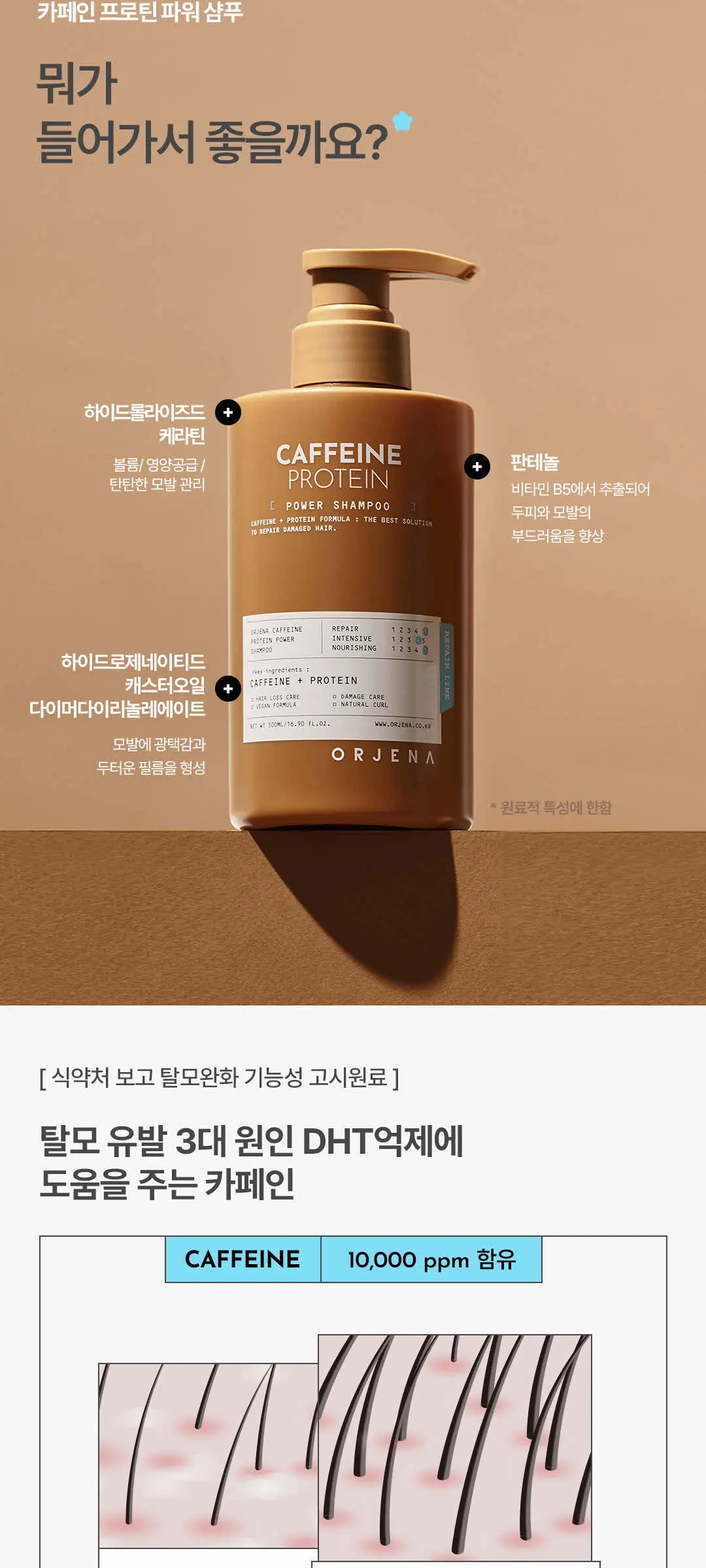 ORJENA Caffeine Protein Power Shampoo 200ml Detail