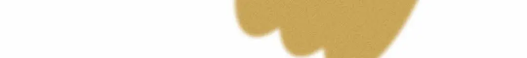 ORJENA Caffeine Protein Power Shampoo 200ml Detail