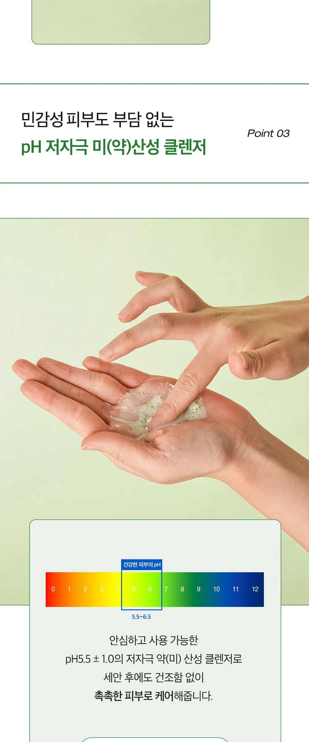 papa recipe Tea Tree Control Enzyme Powder Cleanser 50g Detail