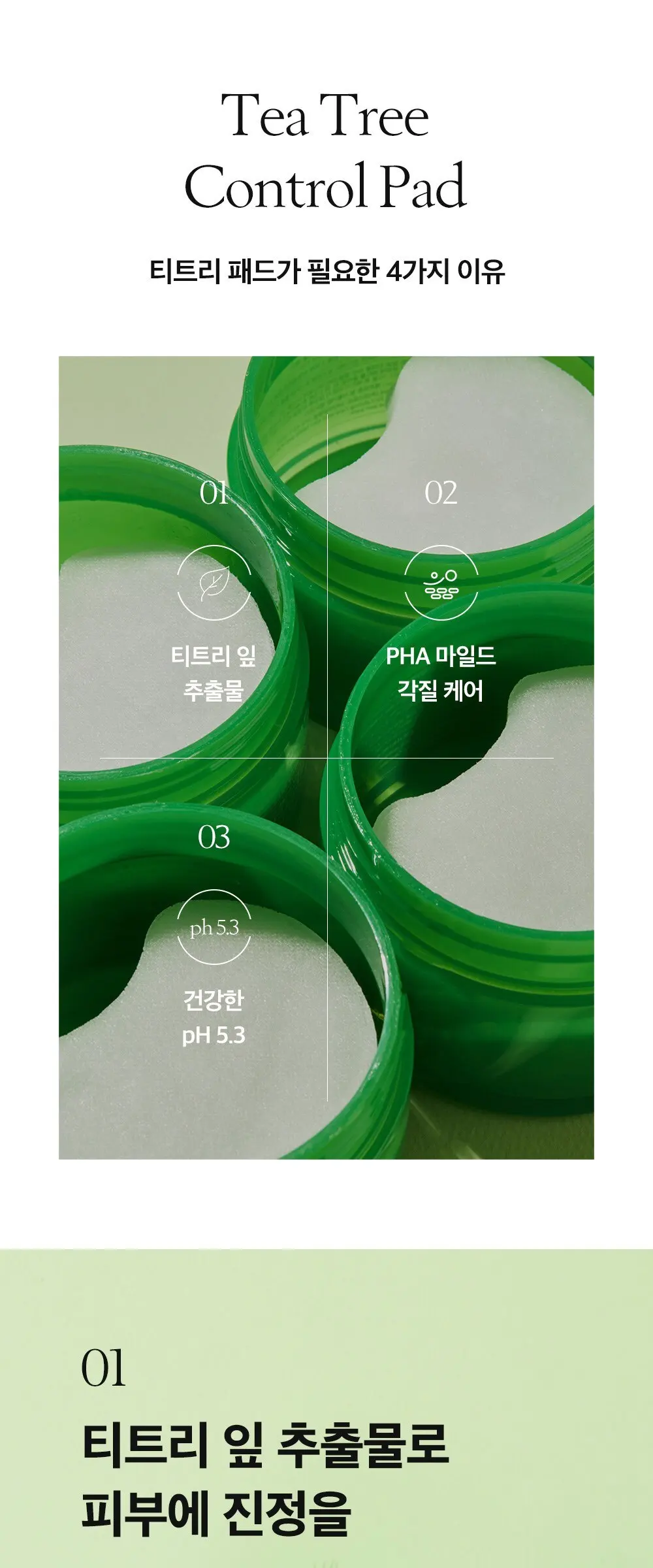papa recipe Tea Tree Control Pad Toner Refill 65ml, 35 pads x 2 Detail