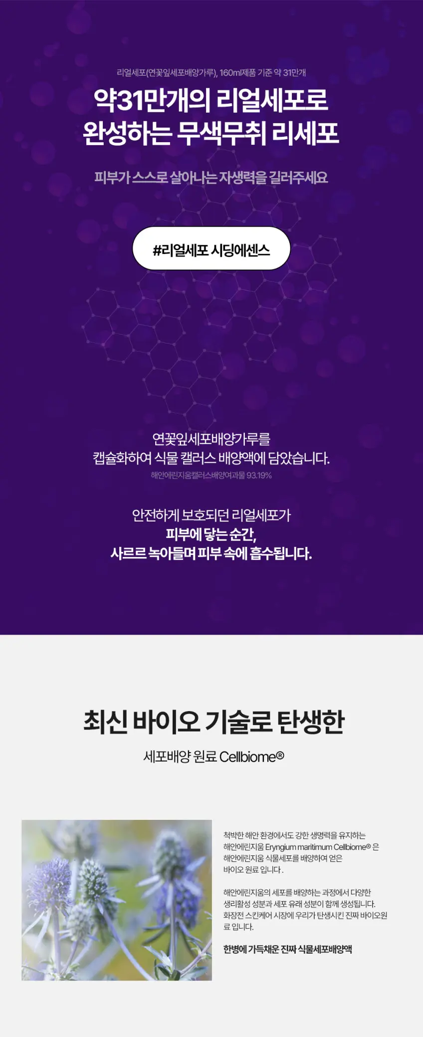 recepo Cell Bio Seeding Essence 50ml Detail