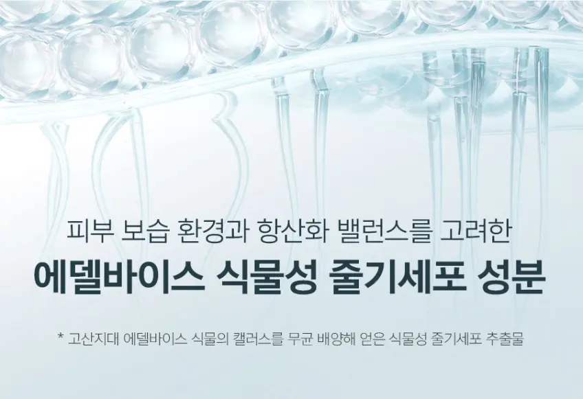 REJULAB Repair Ampoule 40ml + Firming Lift Mask 10sheets Detail