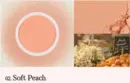Soft Peach