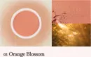 Orange Blossom
