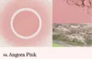 Angora Pink