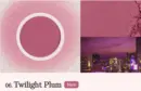 Twilight Plum