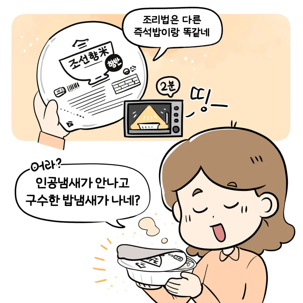 CHOSUNRICE Chosun Hyangmi Hyangban Premium Instant Cooked White Rice 210g x 12 Packs