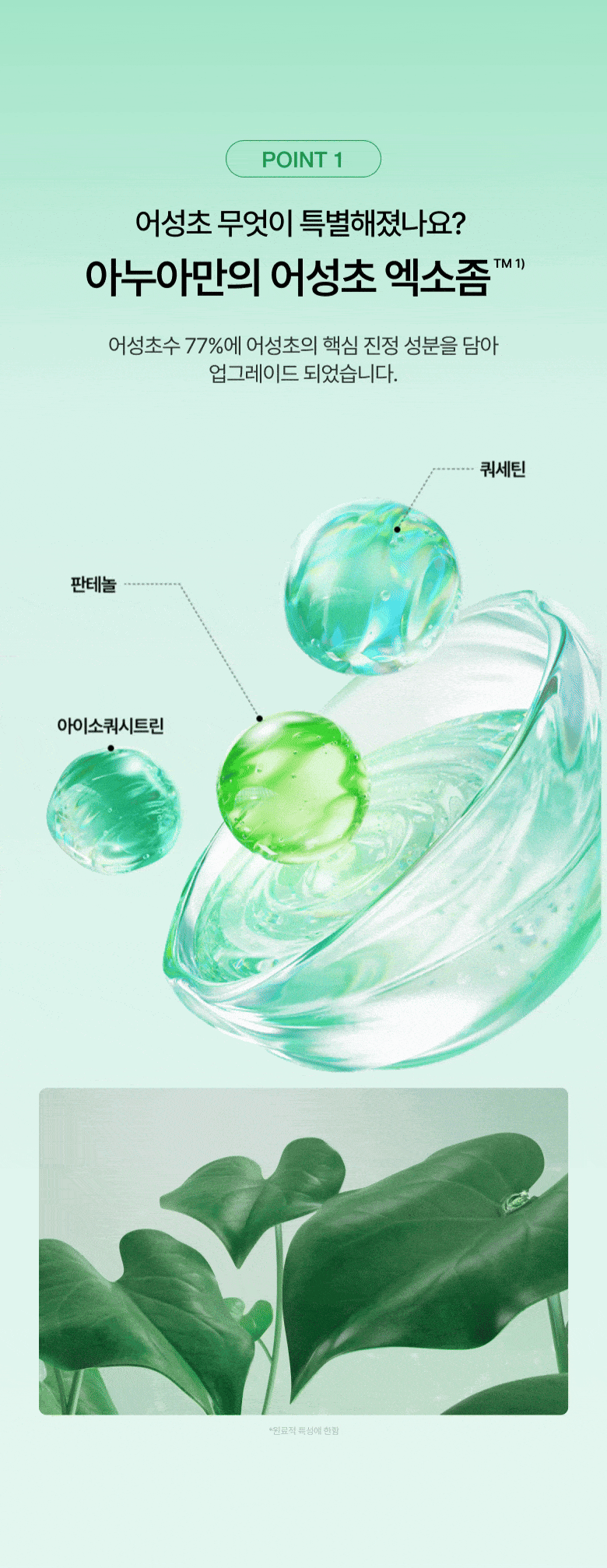 Anua Heartleaf 77 B3Zinc Soothing Cream 80 mL Detail