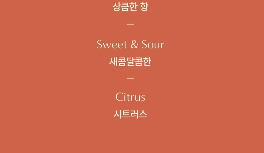 AROMATICA Zesty Hand Soap Grapefruit & Tangerine 300ml Detail