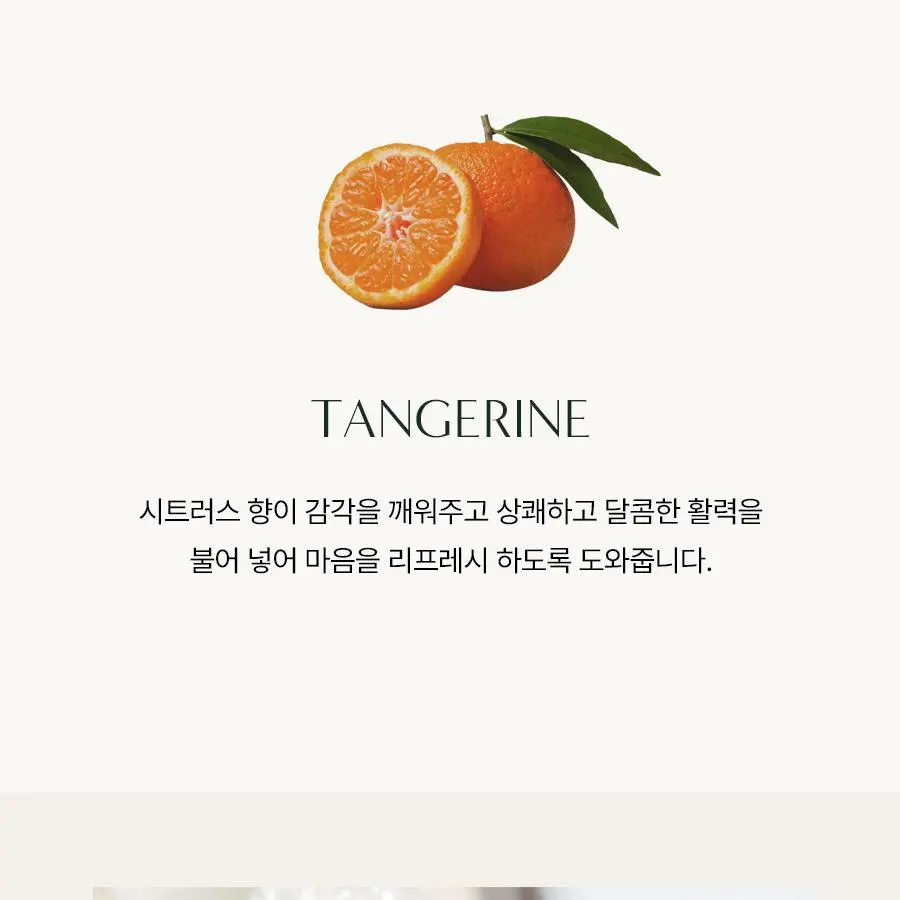 AROMATICA Zesty Hand Soap Grapefruit & Tangerine 300ml Detail