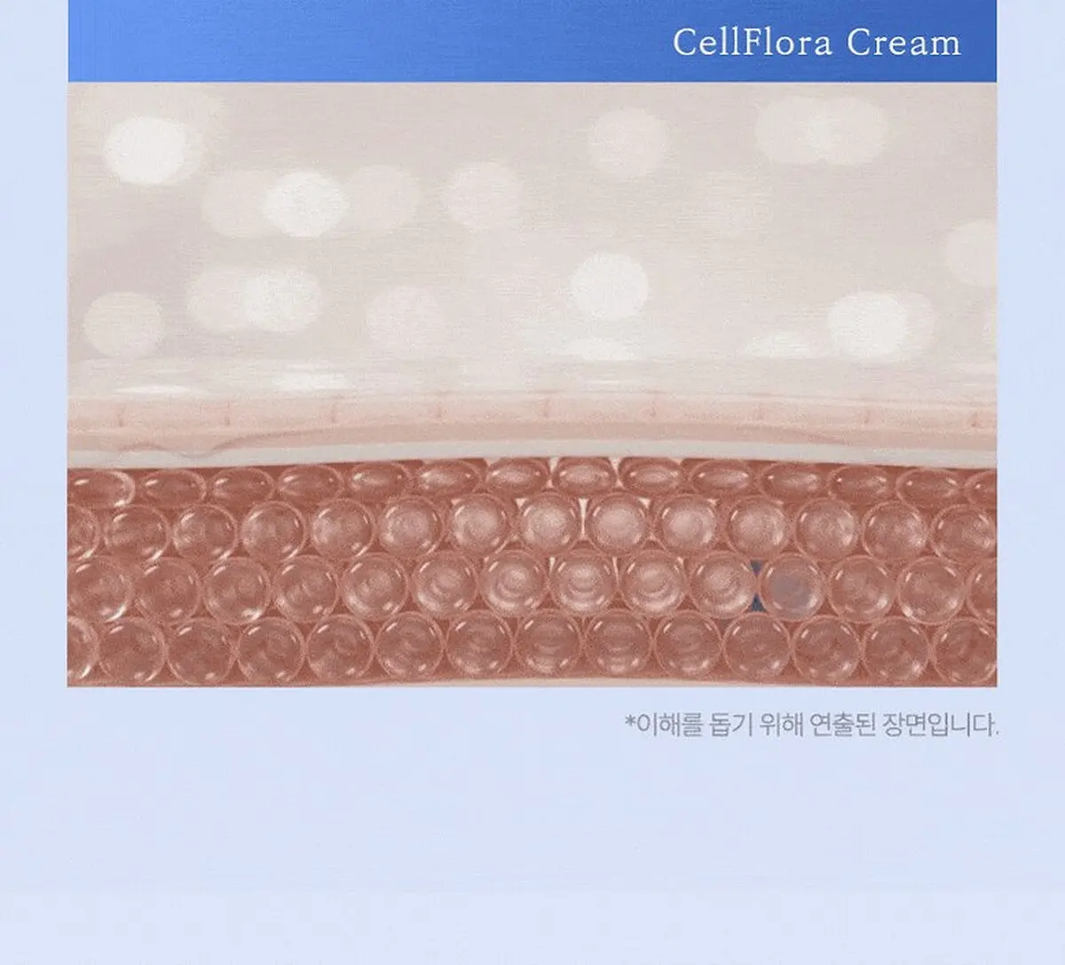 CellFlora Cream 30ml Spot Cream (CellFlora) Detail