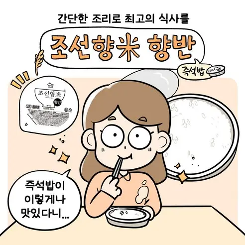 CHOSUNRICE Chosun Hyangmi Hyangban Premium Instant Cooked White Rice 210g x 12 Packs