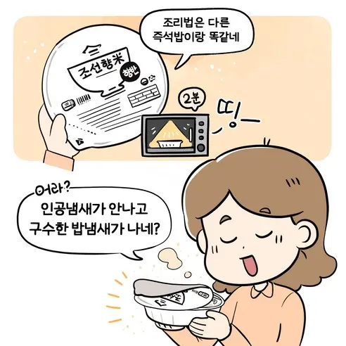 CHOSUNRICE Chosun Hyangmi Hyangban Premium Instant Cooked White Rice 210g x 12 Packs