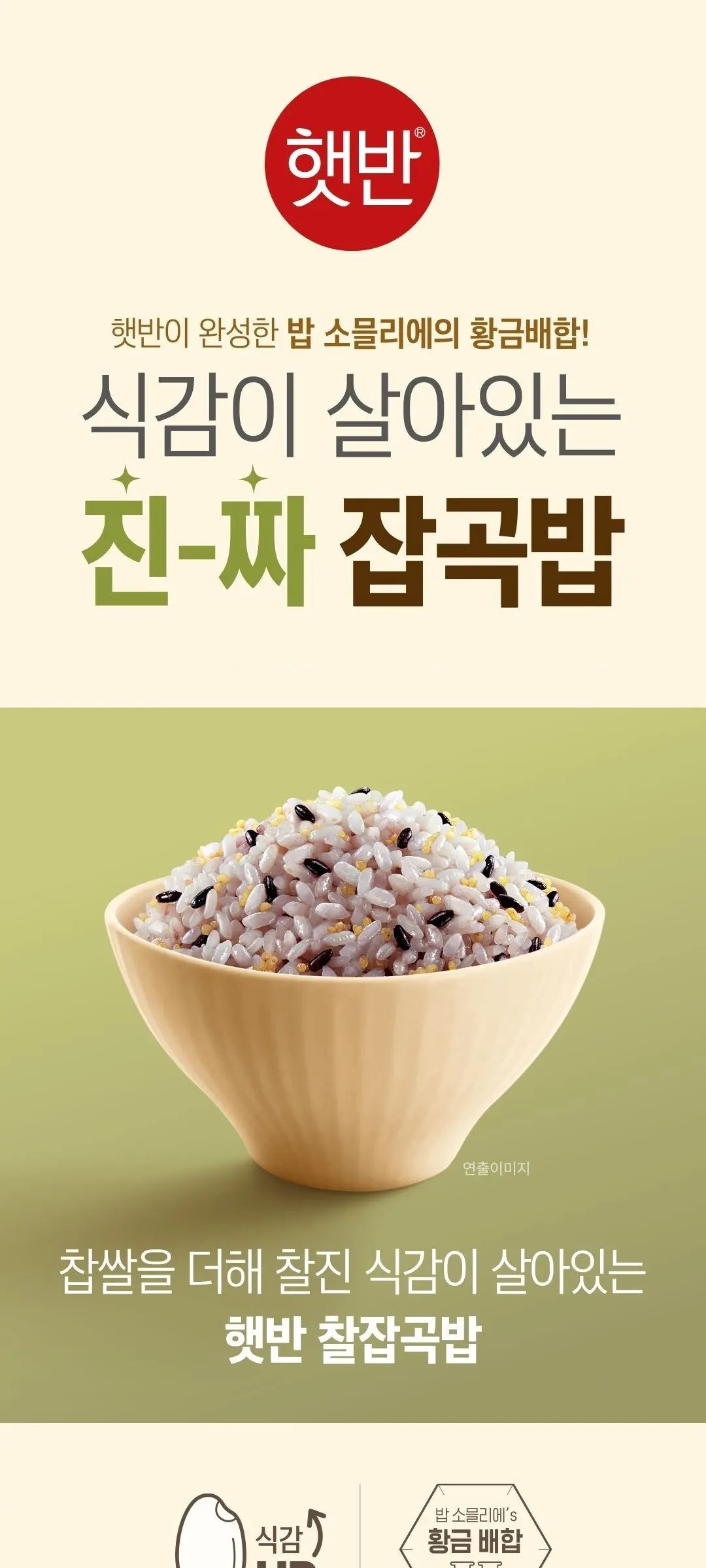 CJ Hetbahn Cooked Glutinous Multi-Grain Rice 210g x 12 Pack Detail
