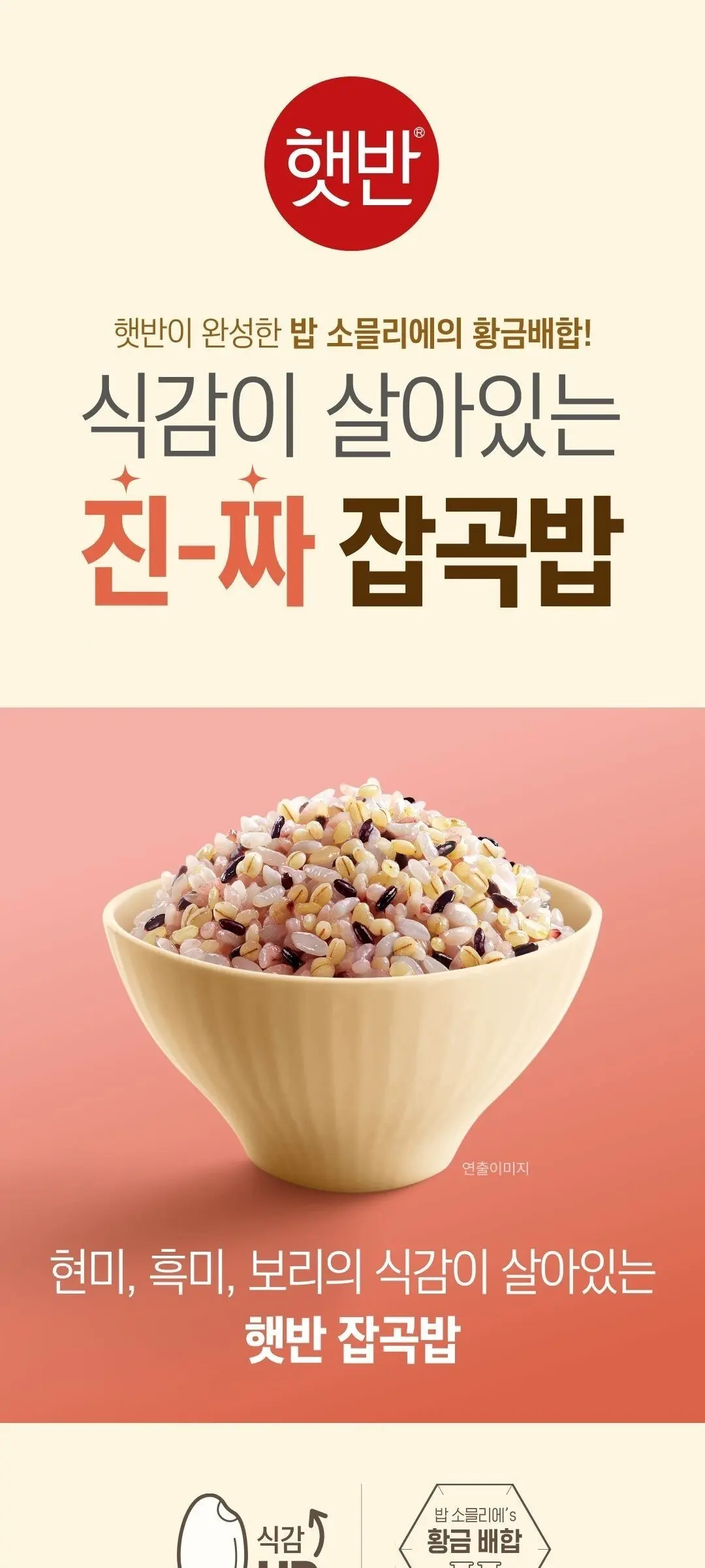 CJ Hetbahn Cooked Multi-Grain Rice 130g x 12 Pack (Small Bowl) Detail