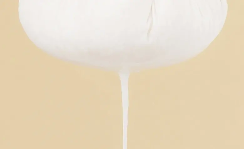 FULLY (Rice) Ceramide Capsule Cream Moisture Barrier Cream 90ml Detail
