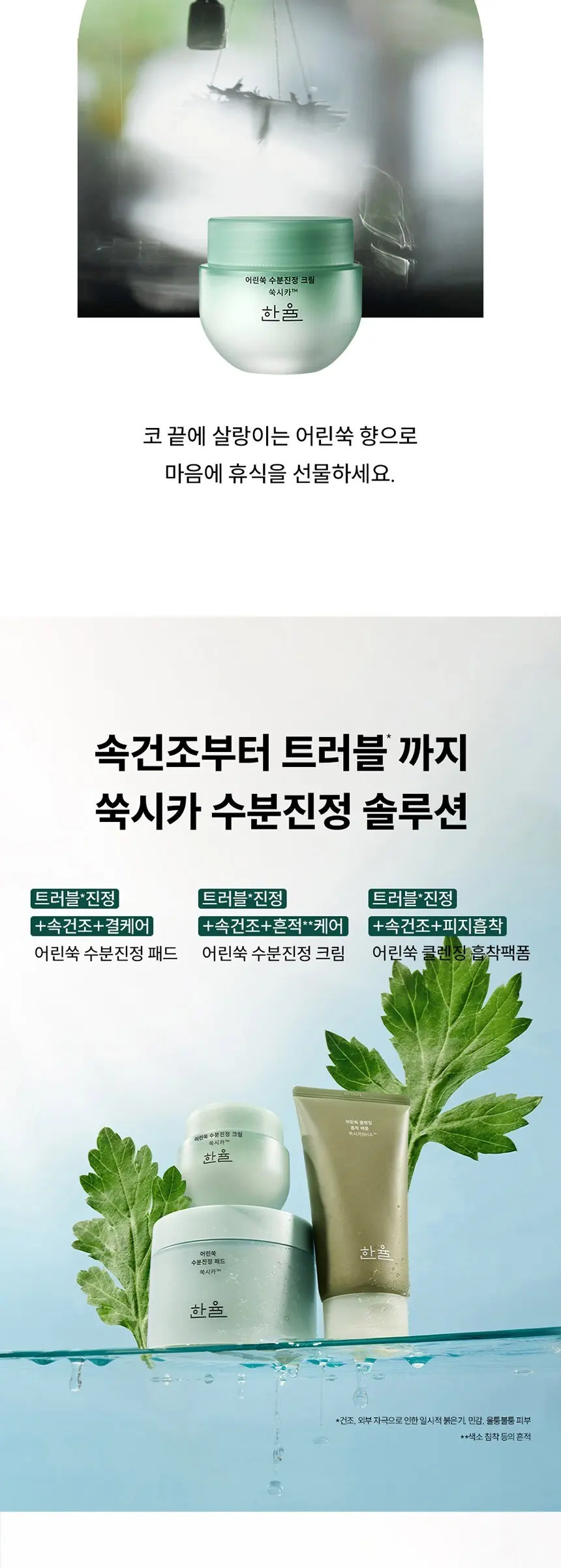 HANYUL Young Mugwort Moisture Soothing Cream 55ml, 1 Count Detail