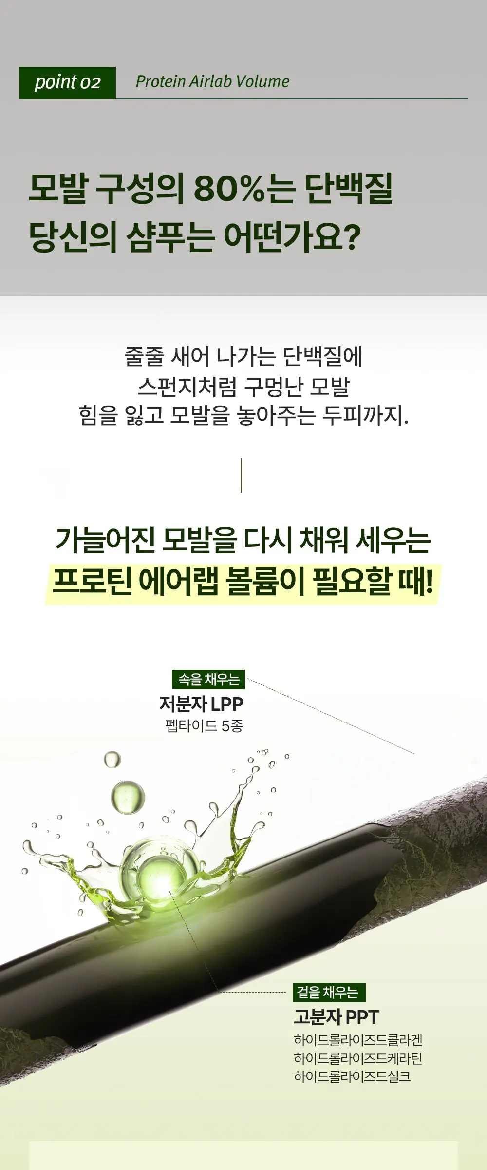 MODAMODA Dolkong Exosome Anti Hair Loss Shampoo 1000ml (1L) Detail