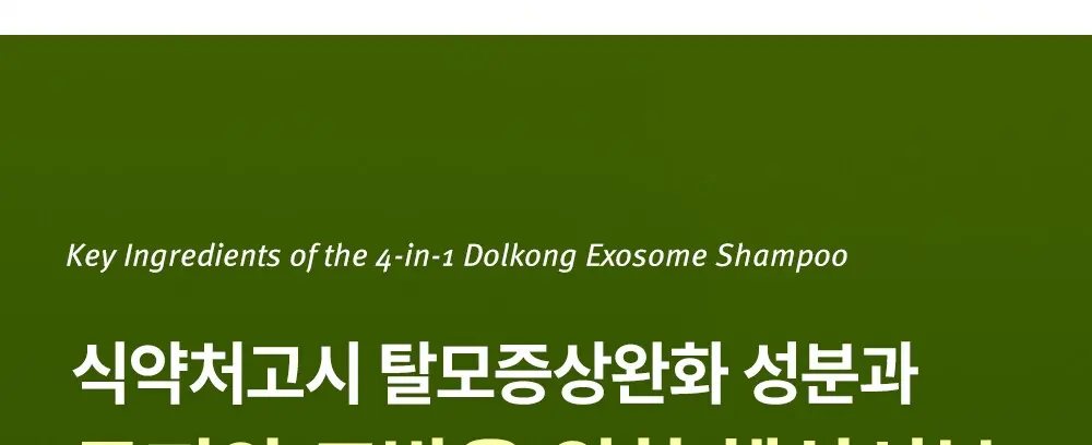 MODAMODA Dolkong Exosome Anti Hair Loss Shampoo 1000ml (1L) Detail