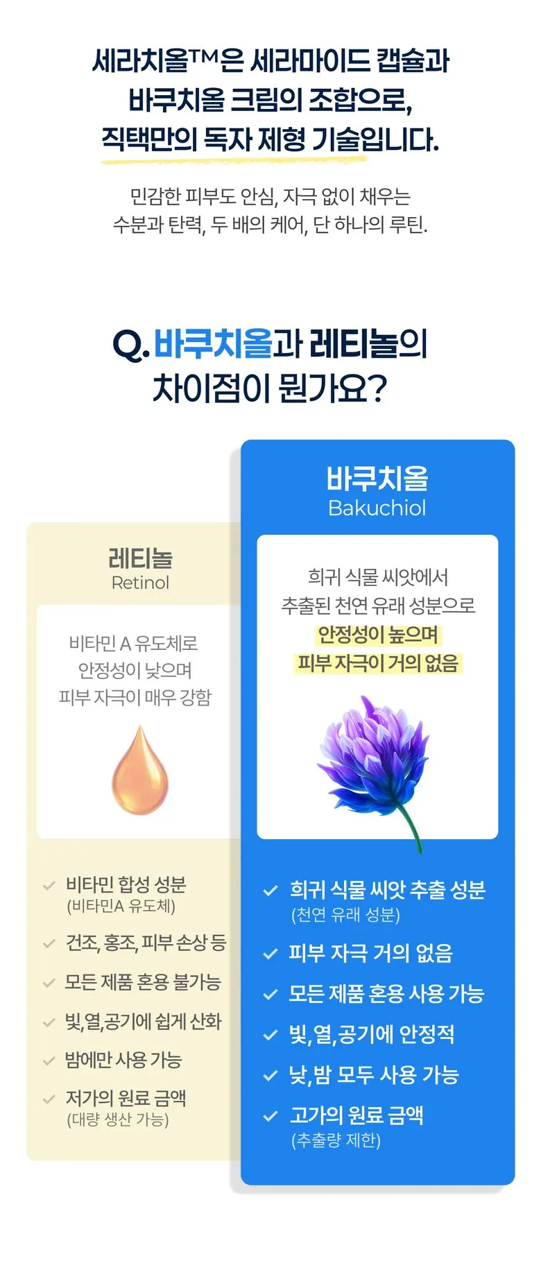 ZIGTAG Cerachiol Crush Cream 50ml - Ceramide Bakuchiol Firming Pore Barrier Moisturizer Detail
