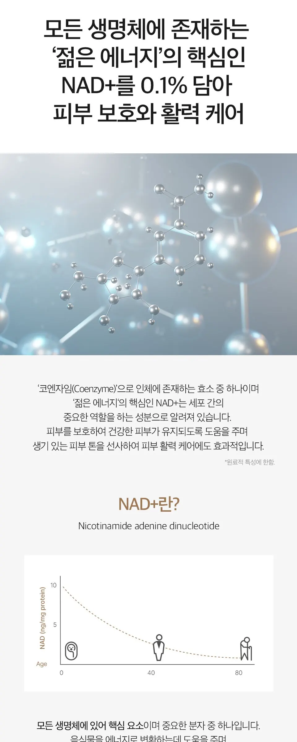 엔엠엔 1퍼센트 리뉴잉 세럼 30ml Detail