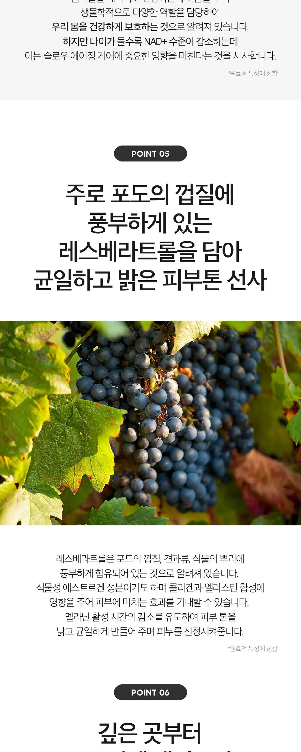 엔엠엔 1퍼센트 리뉴잉 세럼 30ml Detail