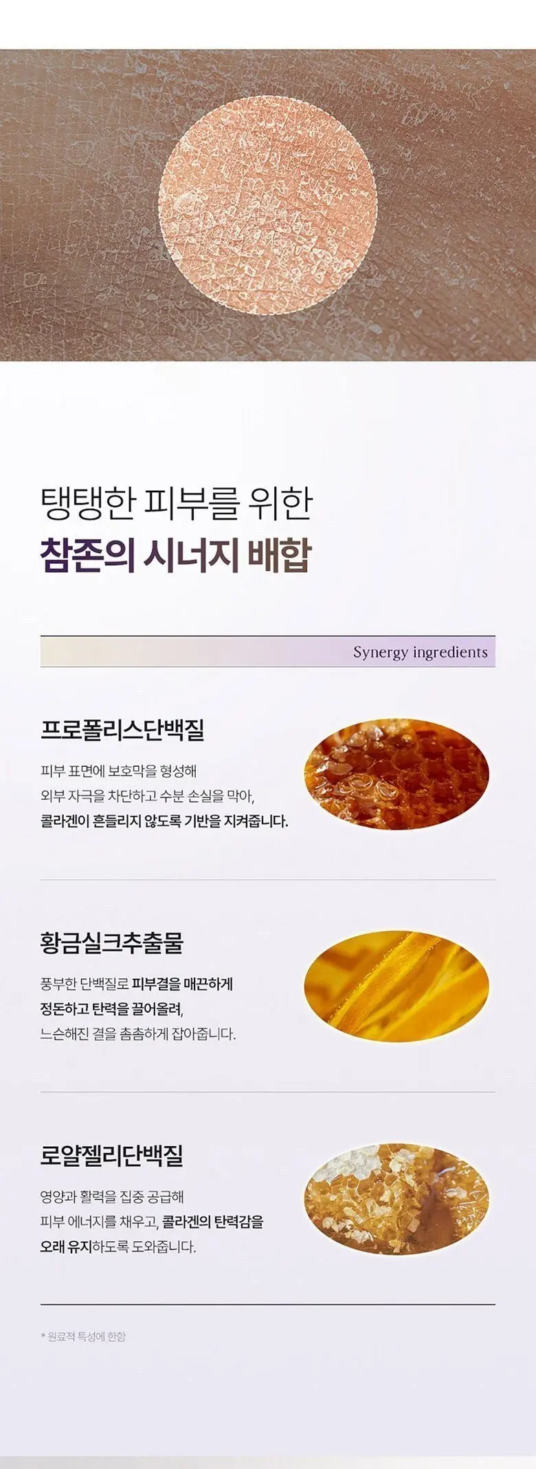 참존 탑클래스 리프팅 크림, 1개, 50ml Detail