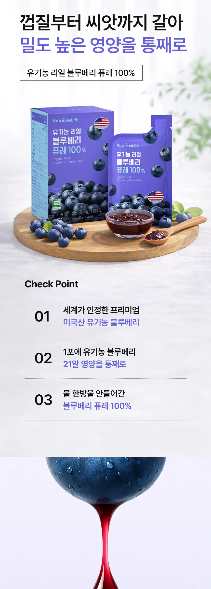 리얼 블루베리 퓨레 100% Detail