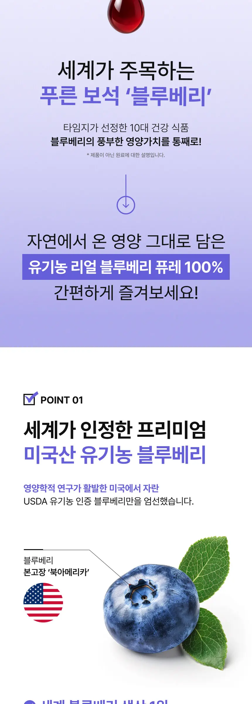 리얼 블루베리 퓨레 100% Detail