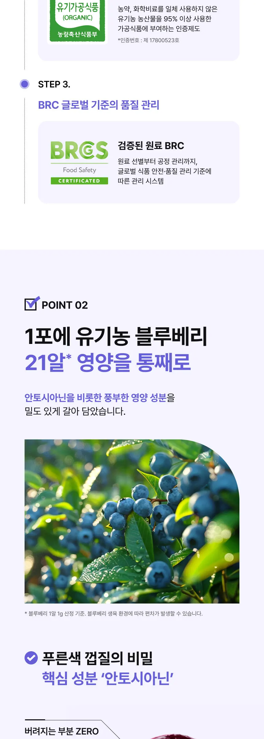 리얼 블루베리 퓨레 100% Detail