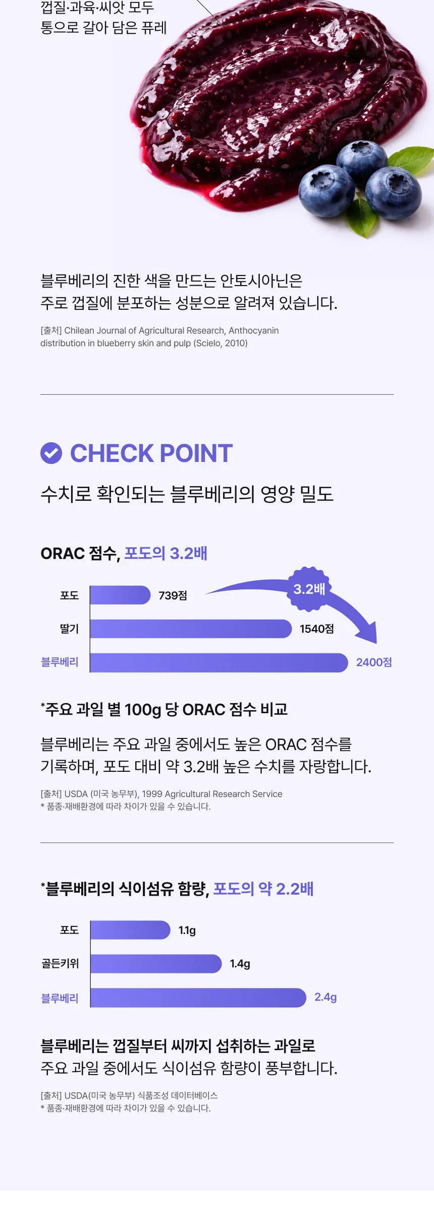 리얼 블루베리 퓨레 100% Detail
